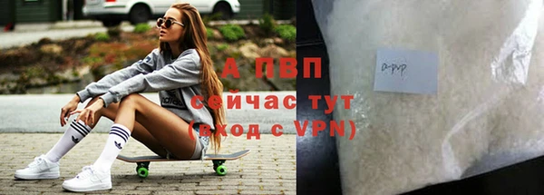 мяу мяу мука Абаза