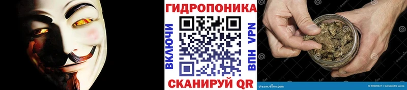 даркнет наркотические препараты  blacksprut сайт  Калачинск  Марихуана VHQ 